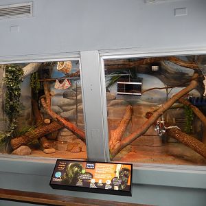 4/17/2018 - New Goeldi's Monkey Exhibit