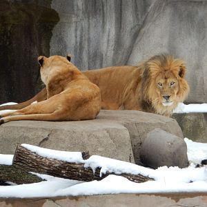 4/17/2018 - Themba and Sanura