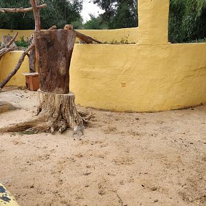 meerkat enclosure