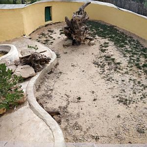 mongoose enclosure