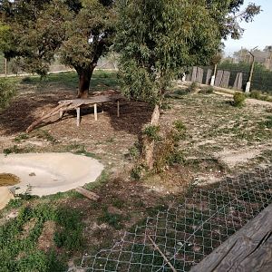 white tiger enclosure