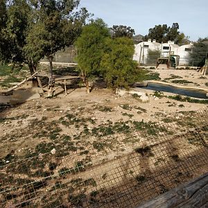 bengal tiger enclosure