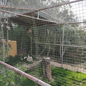 owl enclosure