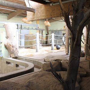 Elephant-indoor enclosure