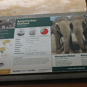 Sign Asian elephant