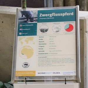 Sign Pygmy hippo