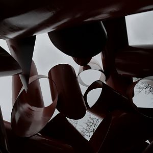 Olympic Iliad - My First US Zoo Trip