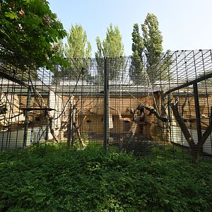 Monkey house - Outdoor cage
