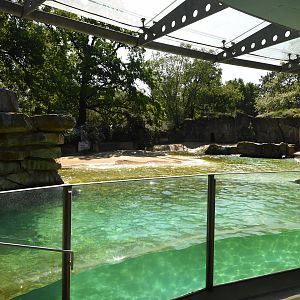Californian sea lion enclosure