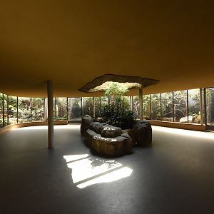 Bird house - Asian section