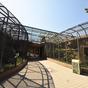 Bird house - exterior