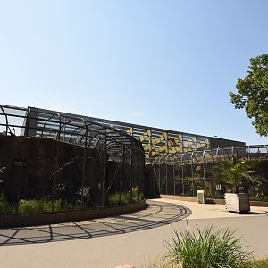 Bird house - exterior