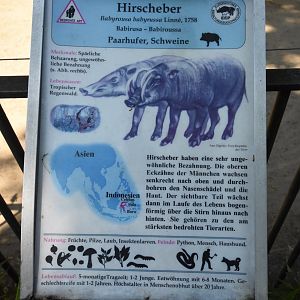 Old Berlin zoo signs