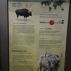 New Berlin Zoo signs