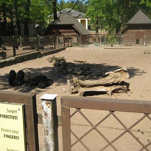 Riga Zoo - Peccary exhibit #2