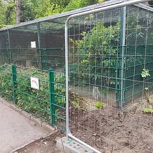 Tierpark Recklinghausen - Enclosure for Corsac foxes