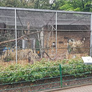 Tierpark Recklinghausen - Enclosure for Rhesus macaques