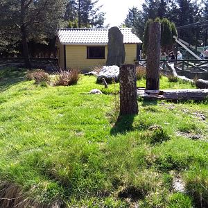 Meerkat/tortoise exhibit