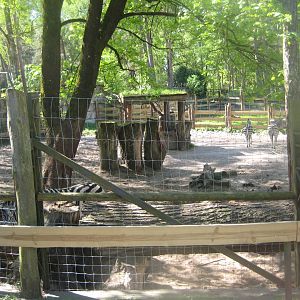 Riga Zoo - Zebra exhibit