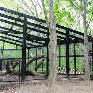 Primate Outdoor Exhibit Construction