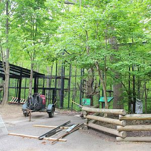 Primate Outdoor Exhibit Construction