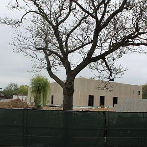 Adventure Africa Construction