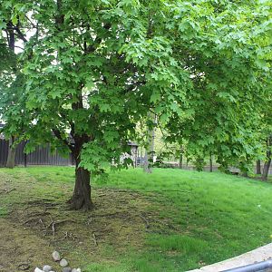 Adventure Africa Construction