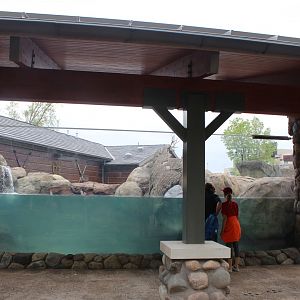 Otter Passage - Underwater Viewing + 15 foot otter slide