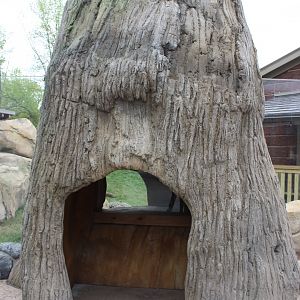 Otter Passage - Log Viewing