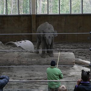 Positive Reinforcement - My First US Zoo Trip
