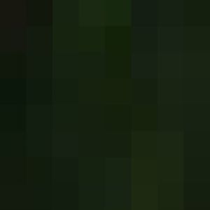 greater one-horned rhino