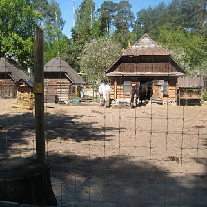 Riga Zoo - Horse exhibit