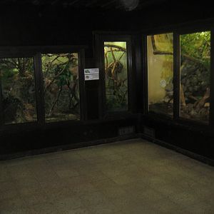 Riga Zoo - Reptile house