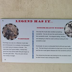 Additional Sign at Musk Deer Exhibit