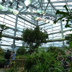 Butterfly Garden - May 2018