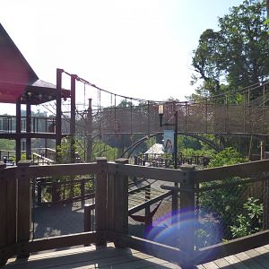 Gibbon Trails - May 2018