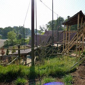 Langur Landing - May 2018