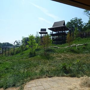 Malayan Tiger Exhibit #1 - May 2018
