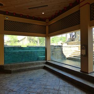 Malayan Tiger Exhibit #2 - May 2018