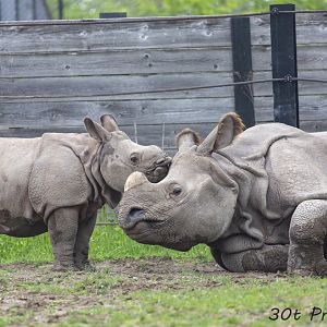 A little late for mother's day