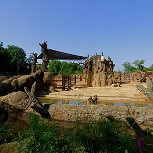 African Elephant Exhibit - May 2018