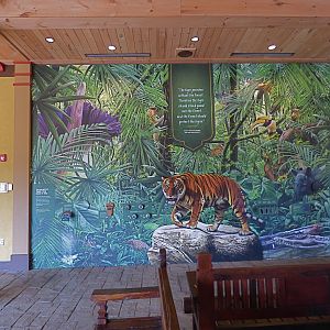 Asia Trek - May 2018