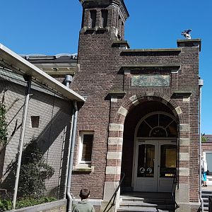 Entrance Monkey and Bird house