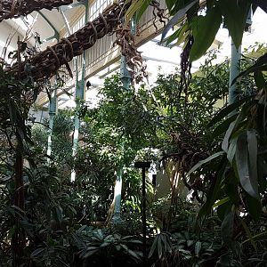 View in Monkey-house