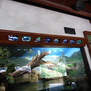 Mixed Species Exhibit with Signage (Expedition Peru) - May 2018