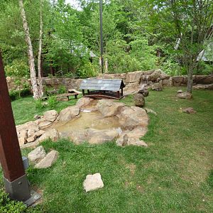 Guinea Pig Exhibit (Expedition Peru) - May 2018