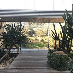 Desert/africa house - February 2018