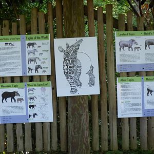 Tapir Signage - May 2018