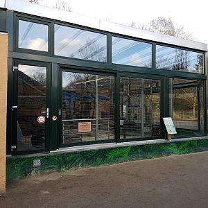 Indoor-enclosure Chimpanzee