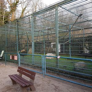 Chimpanzee-outdoor-enclosure